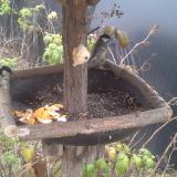 photo 2019-12-07 14-06-18