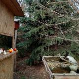 photo 2021-12-18 13-49-38