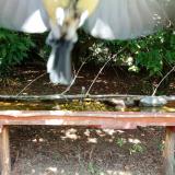 photo 2021-08-25 12-31-09