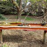 photo 2021-04-11 08-46-17