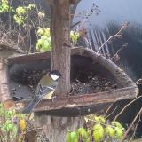 photo 2019-12-14 11-19-05