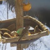 photo 2019-01-27 09-20-11