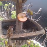 photo 2019-12-04 11-02-52