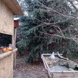 photo 2021-12-22 08-01-00