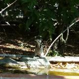 photo 2021-09-19 09-23-57 fakopancs