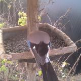 photo 2019-12-19 08-41-09