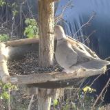 photo 2019-12-17 14-04-31