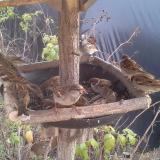 photo 2019-12-13 13-28-41