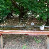 photo 2021-07-05 14-12-57