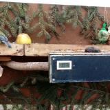 photo 2021-02-03 13-59-41