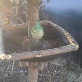 photo 2019-02-12 07-37-52