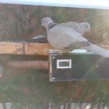 photo 2021-03-08 07-45-40