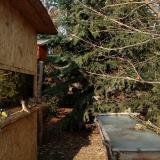 photo 2022-01-13 13-54-15