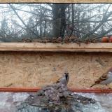 photo 2022-01-20 12-27-33