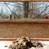 photo 2022-01-19 13-46-57