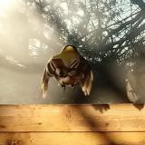 photo 2022-01-24 08-50-44 szencinege