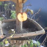 photo 2019-12-03 13-11-31