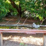 photo 2021-08-07 18-46-21