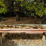 photo 2021-10-13 13-48-06