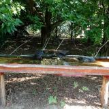 photo 2021-07-24 08-33-05