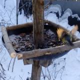 photo 2019-01-07 08-24-11