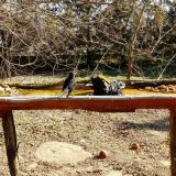 photo 2021-03-13 09-19-54