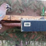 photo 2021-02-25 07-08-31