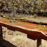 photo 2021-04-09 11-22-11