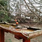 photo 2022-03-17 12-43-47