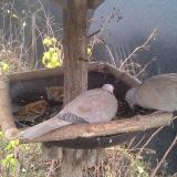 photo 2019-12-22 13-47-52