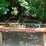 photo 2021-07-22 09-34-47