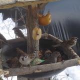 photo 2019-01-29 12-56-45