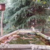 photo 2023-10-06 08-06-30