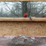 photo 2022-01-16 13-46-27