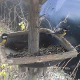 photo 2019-12-27 09-30-24