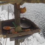 photo 2019-01-25 09-09-44