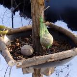 photo 2019-01-11 14-09-02