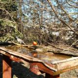 photo 2022-03-21 14-30-12