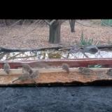 photo 2021-11-26 07-40-43