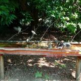 photo 2021-07-23 10-45-49