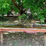 photo 2021-05-21 15-37-14