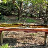 photo 2021-04-17 08-10-15