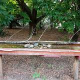 photo 2021-07-13 19-10-01