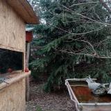 photo 2022-01-05 09-02-11