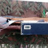 photo 2021-02-21 07-25-31