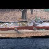 photo 2021-11-22 09-34-59