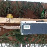 photo 2021-02-11 09-23-55