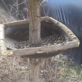 photo 2019-02-24 08-55-11