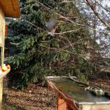 photo 2021-12-15 10-14-31