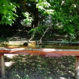 photo 2021-05-21 09-12-19